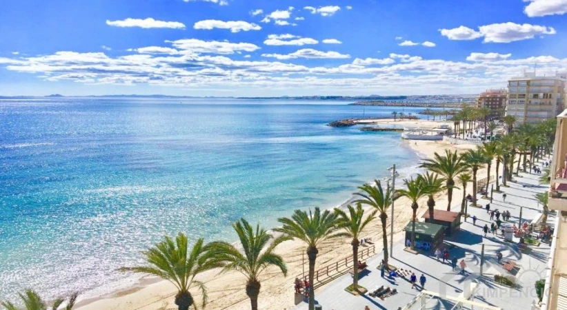 property-1137-16-pic.webp