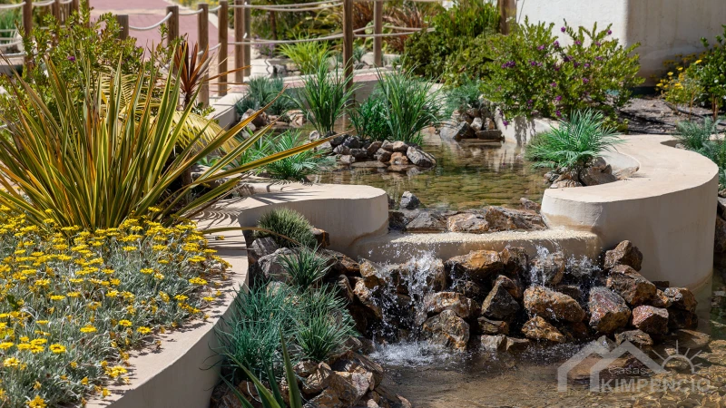 property-1176-24955-pic.webp