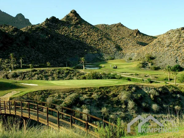 property-1176-24965-pic.webp