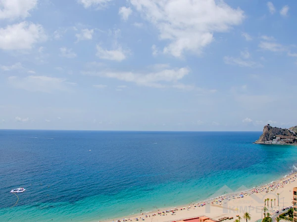 property-1195-25328-pic.webp