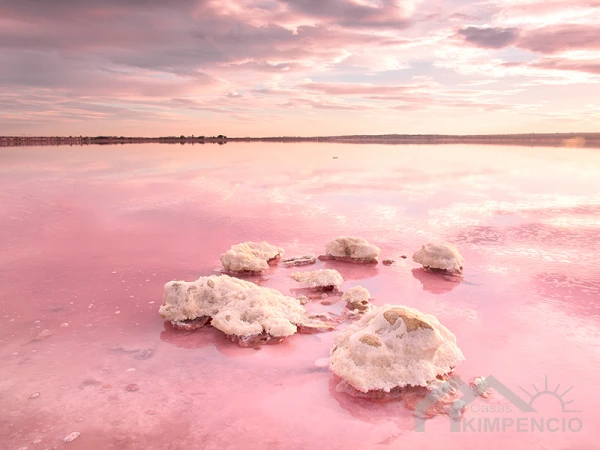 property-1212-17-pic.webp