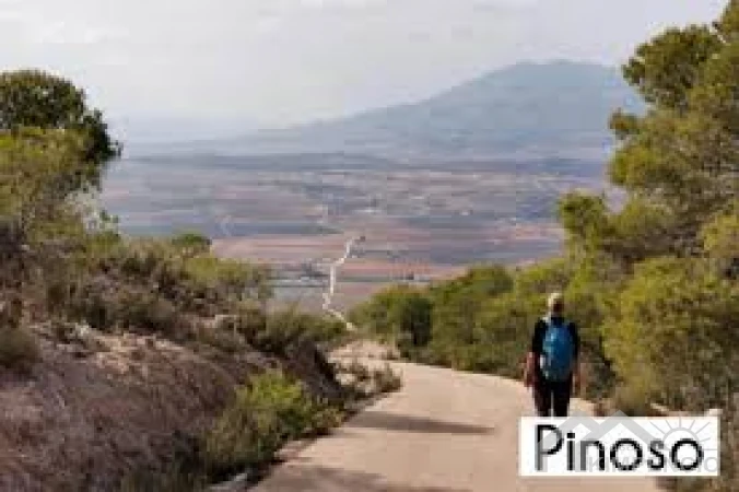 property-1232-94393-pic.webp