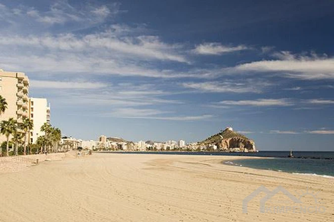 property-1309-30165-pic.webp