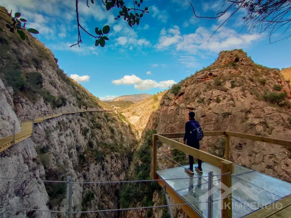 property-1463-7-pic.webp