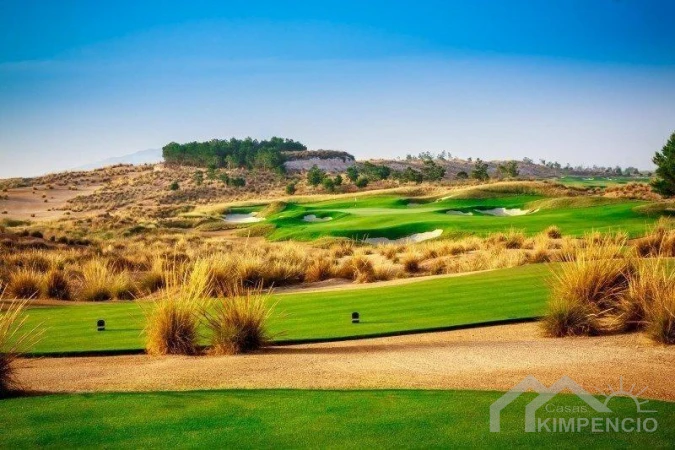 property-1476-9-pic.webp