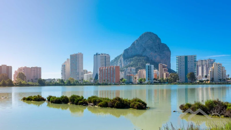 property-1537-11-pic.webp