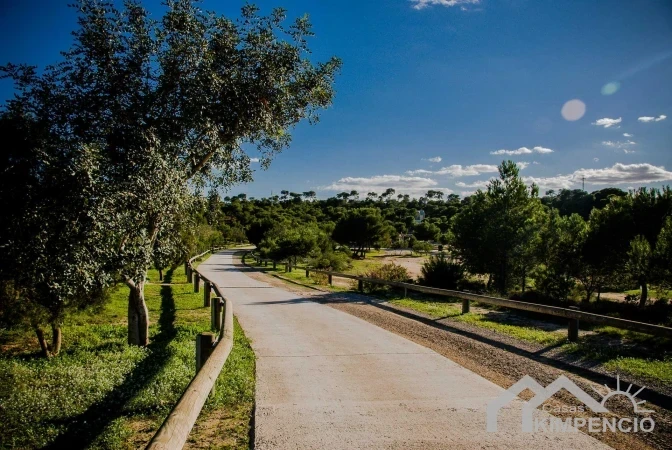 property-1859-74925-pic.webp