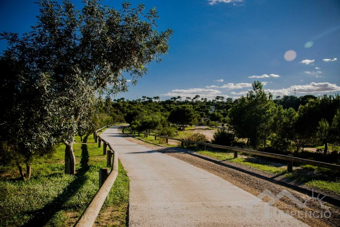 property-1911-5-pic.webp