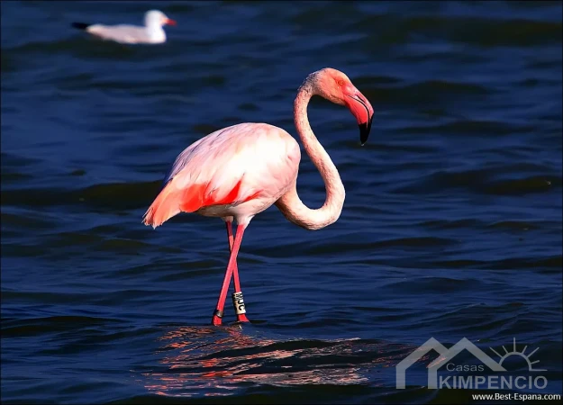 property-1927-16-pic.webp