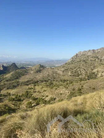 Foto 4 van Las Kalendas-Modelo L