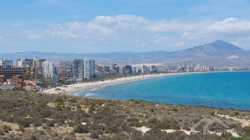 property-2054-13-pic.webp