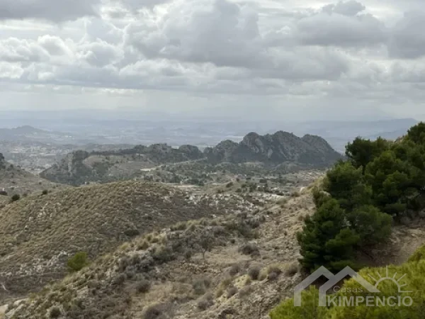property-209-31628-pic.webp