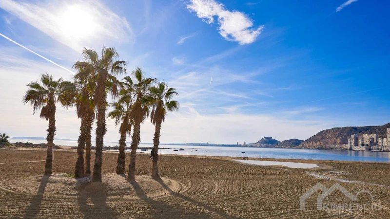 property-2143-8-pic.webp