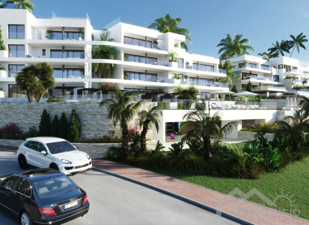 property-2186-81608-pic.webp