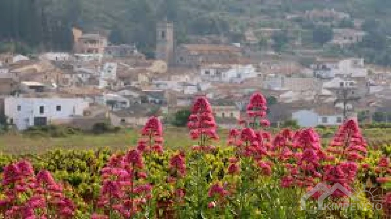 property-2205-24-pic.webp