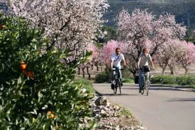 property-2206-28-pic.webp