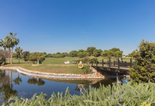 property-2382-21-pic.webp