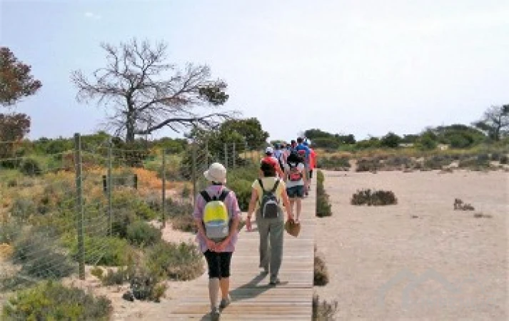 property-2432-15-pic.webp