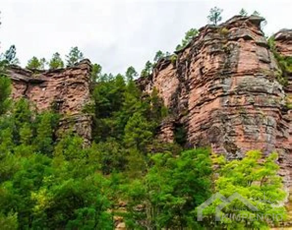 property-2579-74575-pic.webp