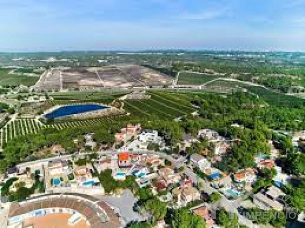 property-262-34887-pic.webp