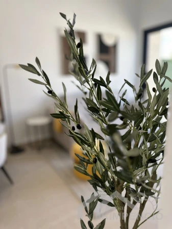 property-2771-103171-pic.webp