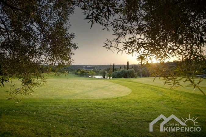 property-2820-82253-pic.webp