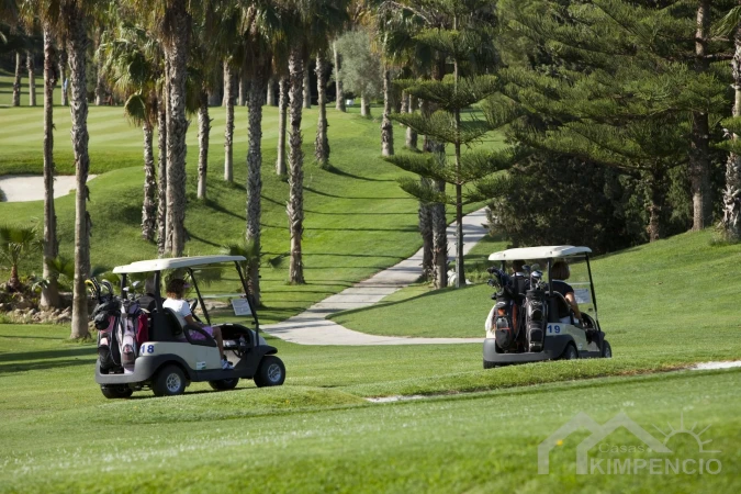 property-2829-14-pic.webp
