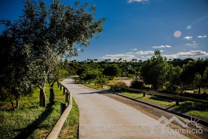 property-2988-15-pic.webp