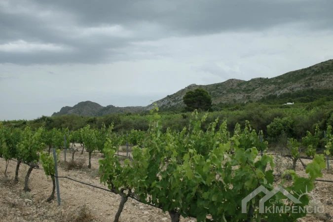property-303-15-pic.webp