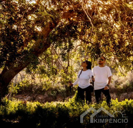 property-3037-123-pic.webp