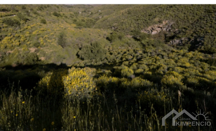 property-3037-125-pic.webp