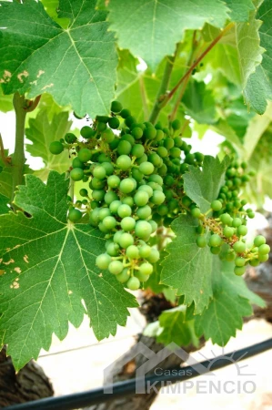 property-304-17-pic.webp