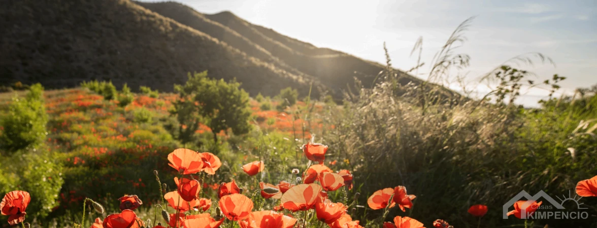property-3041-200-pic.webp