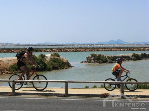 property-310-35-pic.webp