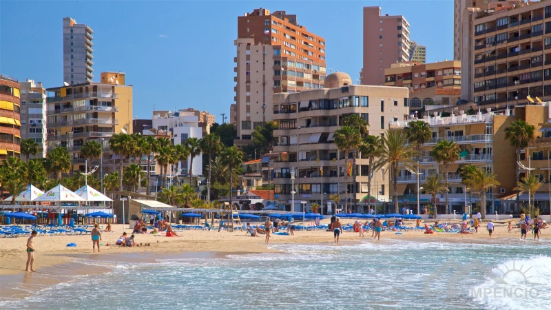 property-3162-1-pic.webp