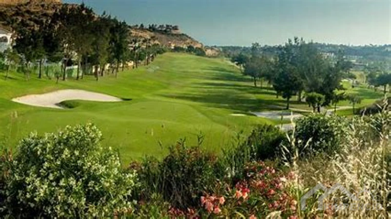 property-3181-97066-pic.webp