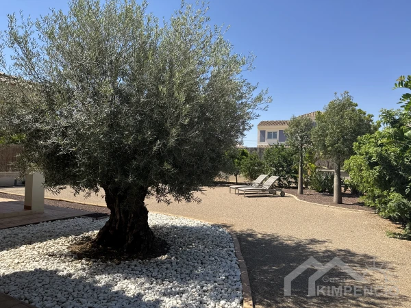 property-3225-110870-pic.webp