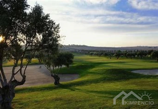 property-3321-101104-pic.webp