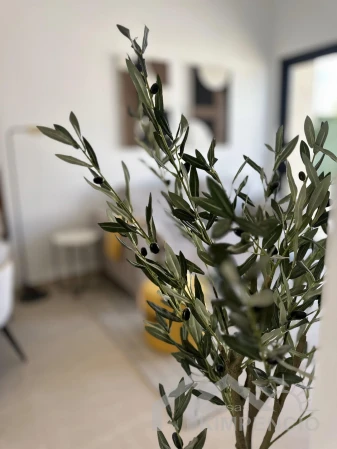 property-3419-16-pic.webp
