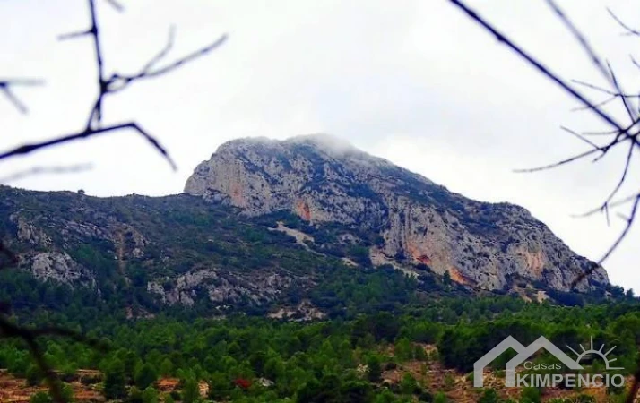property-3655-6-pic.webp