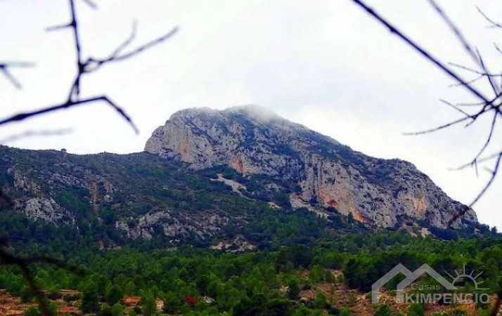 property-3659-15-pic.webp