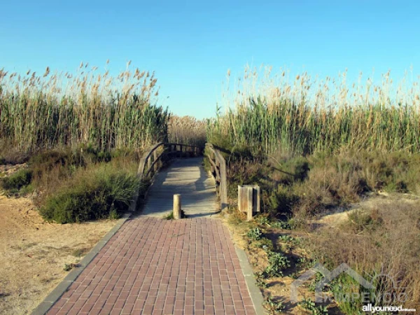 property-3724-14-pic.webp