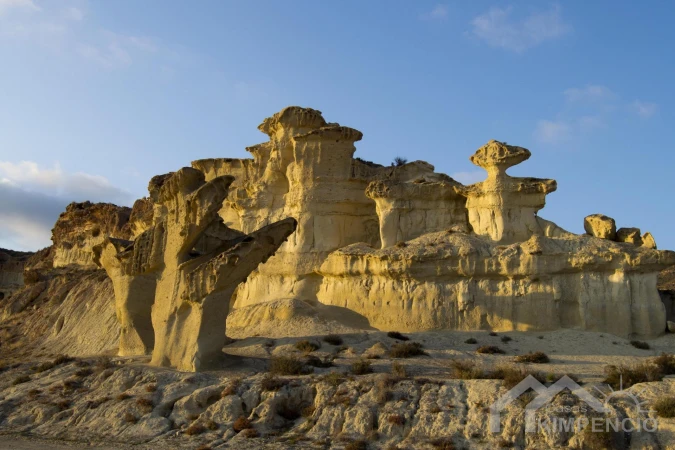 property-3994-48-pic.webp