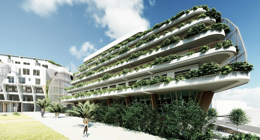 Delfin Natura-Albir
