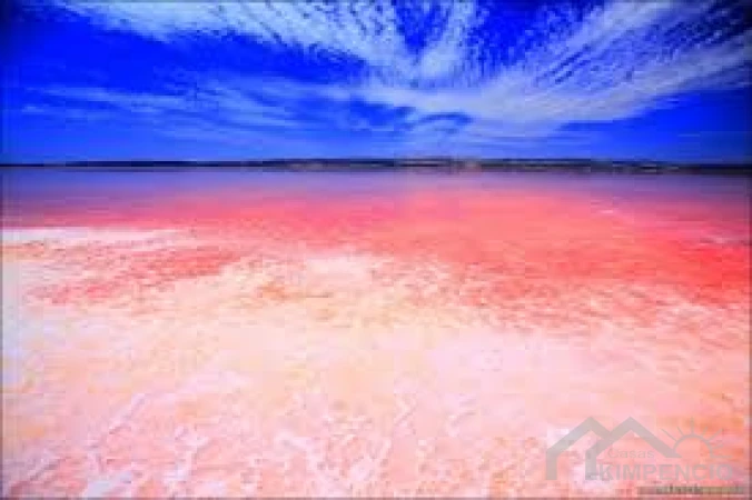 property-5177-43-pic.webp