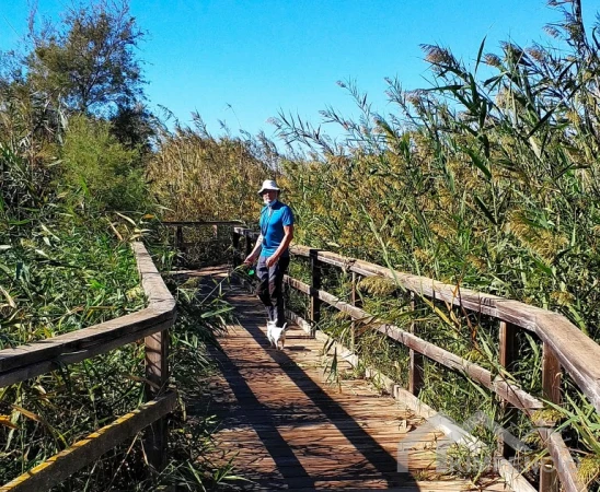 property-5202-26-pic.webp