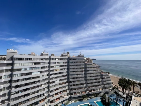 Hipocampos Penthouse