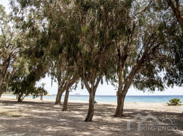 property-904-11-pic.webp