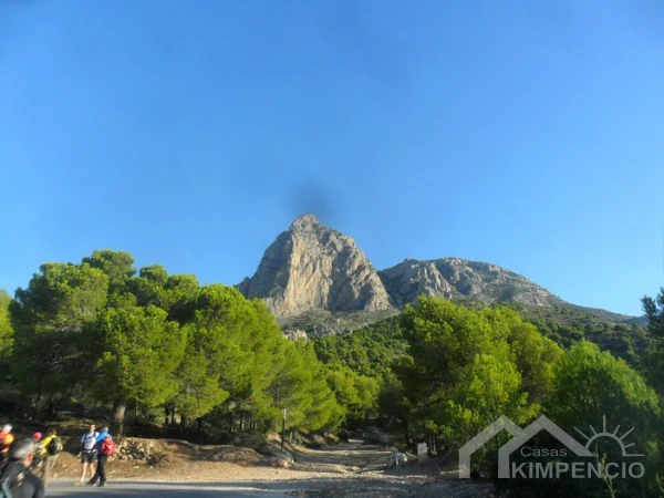 property-990-11-pic.webp